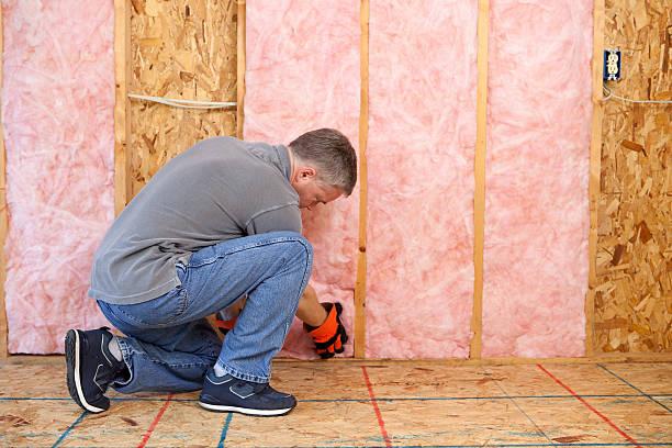 Best Spray Foam Insulation in Marcus, IA